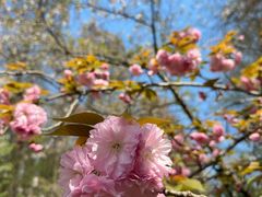 -上海共青森林公园