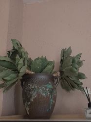 -香秀空间科技抗衰·美容中心