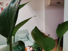 -佰推·肩颈腰·推拿理疗(湾悦城店)