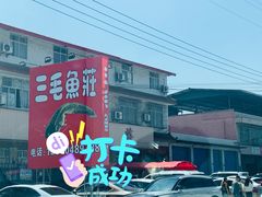 -三毛鱼庄(威连路店)