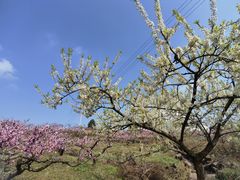 -金堂县云顶石城风景区
