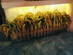 -王婆炒鱼(总店)