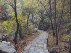 -驼梁风景区