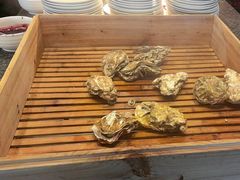 -Social 秀西餐厅-长沙瑞吉酒店(运达店)