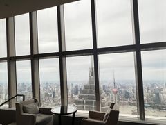 -The lounge 柏悦酒店大堂酒廊(上海环球金融中心店)