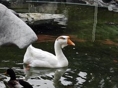 -龙华寺