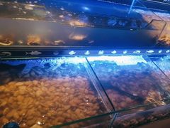 -星伦多自助料理(宝山龙湖天街店)