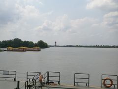 -溱湖国家湿地公园