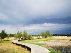 -野鸭湖国家湿地公园