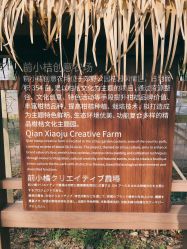 -前小桔亲子创意农场·草莓采摘·露营烧烤