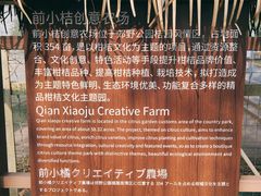 -前小桔亲子创意农场·草莓采摘·露营烧烤