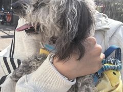 -美联众合爱康动物医院•复杂内科•肿瘤科•牙科•腔镜诊疗中心