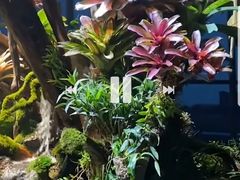 -红星美凯龙(上海沪南店)