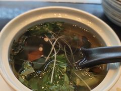 -将军日本餐厅·Shogun(厦门马哥孛罗东方大酒店)