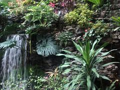 -白天鹅宾馆-宏图府餐厅
