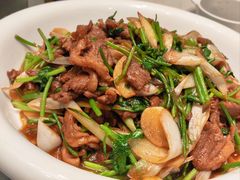 京葱爆羊肉-燕春楼(海河华鼎店)