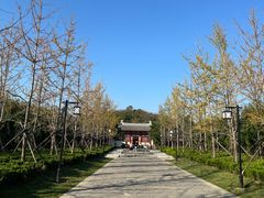 -洛阳古墓博物馆