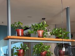 -比格比萨自助(国展店)