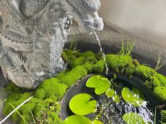 -云座·时光·观景咖啡厅(五爷庙店)