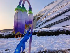 -沈阳奥体冰雪嘉年华