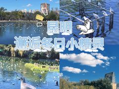 -翠湖公园