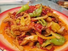 -柴窝堡22号辣子鸡·传承新疆菜