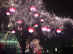 -大雁塔北广场音乐喷泉