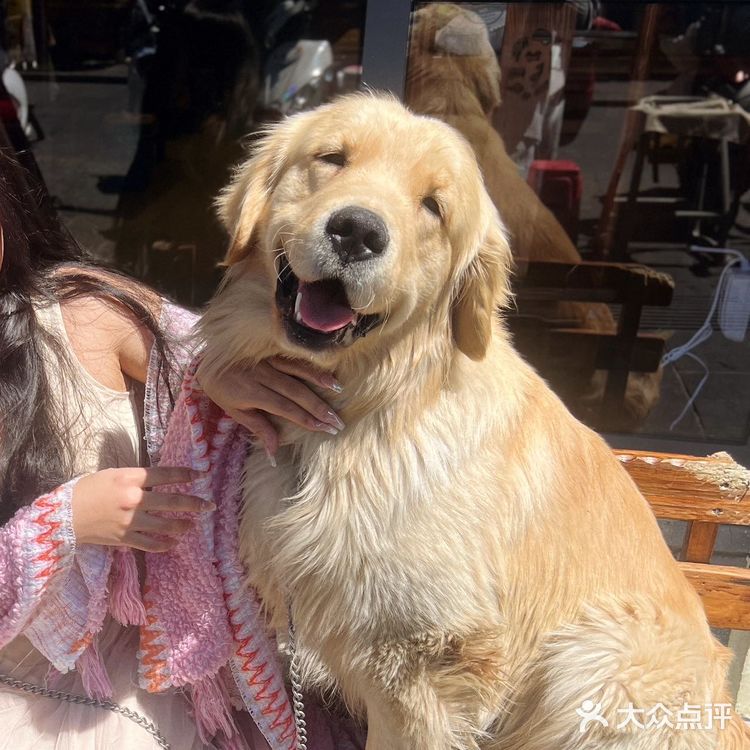 到了大理 那肯定要炫个野生菌火锅🍲 