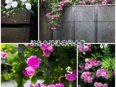 -老门东历史文化街区
