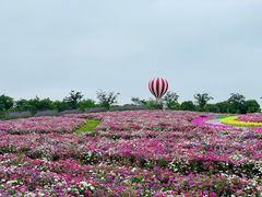 -歌斐颂巧克力小镇