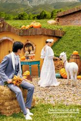 -花漾摄影优选工作室(东莞原创作品店)