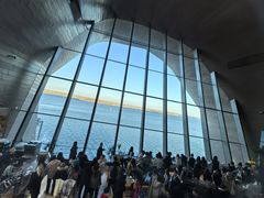 -抱抱地球咖啡馆(国家海洋博物馆店)