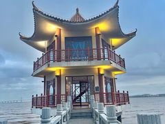 -观澳平台