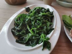 清炒田七苗-缘生态云南菜·野生菌庭院餐厅(华侨城店)