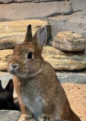 -Zoolung Zoolung动物主题公园(海信广场店)