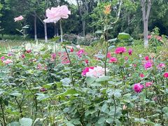 -昆山城市生态森林公园