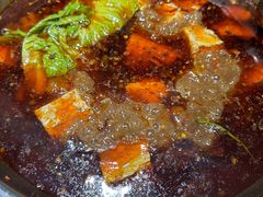 -云鱿记鱿鱼鸡·野生菌火锅(人民南路店)