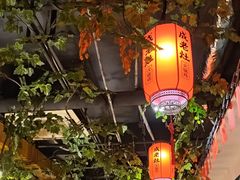 -成老灶火锅鸡(平山店)