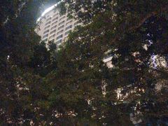 -广州白天鹅宾馆