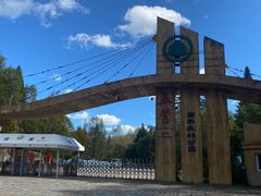 -五营红松林海景区