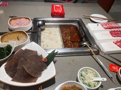 -海底捞火锅(龙岗星河COCO Park店)