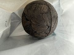 -BLACKSWAN黑天鹅(环球店)