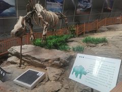 -中国第四纪冰川遗迹陈列馆