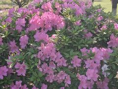 -上海植物园-4号门售票处