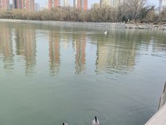 -迎泽公园