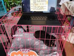 -COSTA COFFEE(上海虹口公园店)