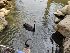 -临沂动植物园