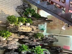 -山水茶艺馆·点心粤菜·30年老字号