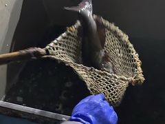 -姥家大锅台水库渔家