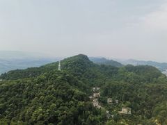 -大金鹰园